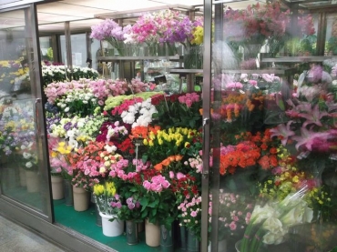 「加藤生花店」　（神奈川県横浜市金沢区）の花屋店舗写真3