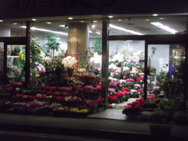 「加藤生花店」　（神奈川県横浜市金沢区）の花屋店舗写真1
